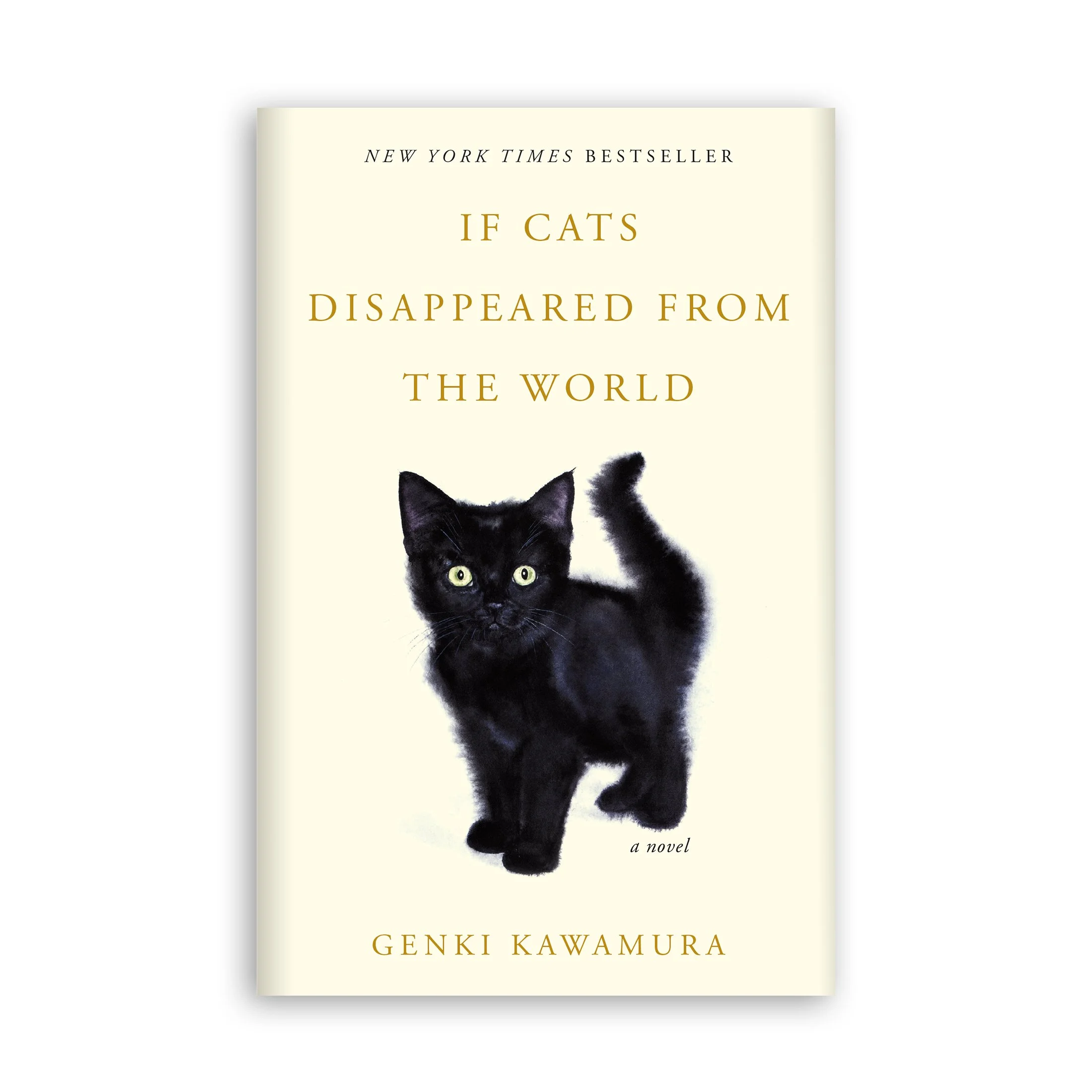 CatsDisappeared.jpg