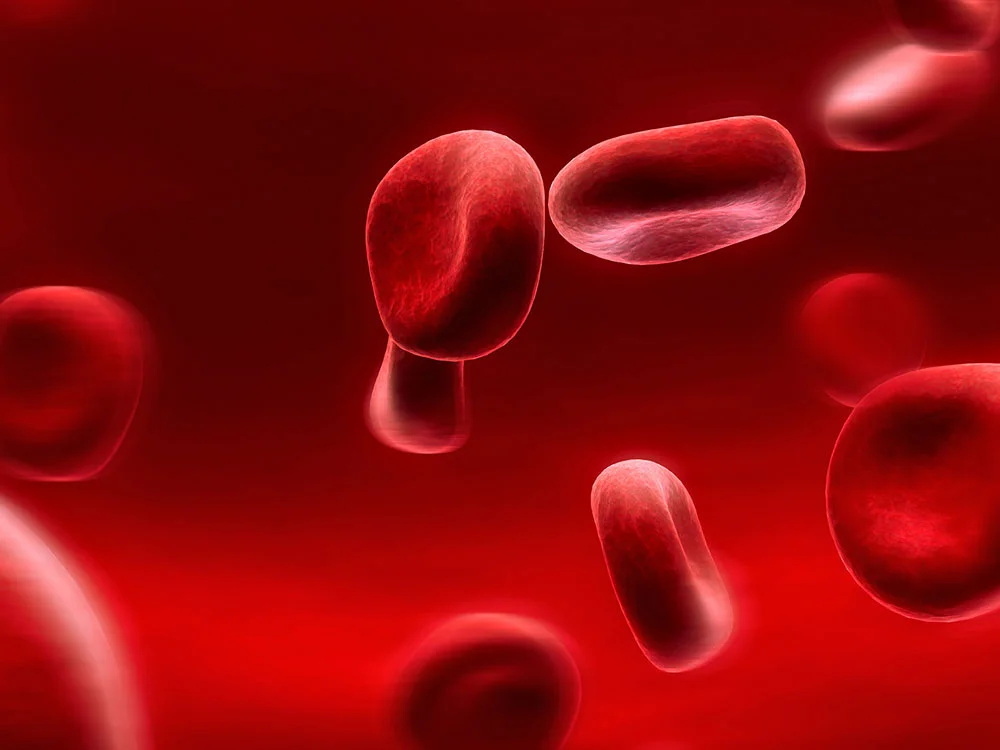 platelet-rich-plasma2.jpg