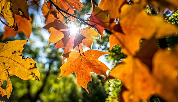 Fall Weekend Retreat