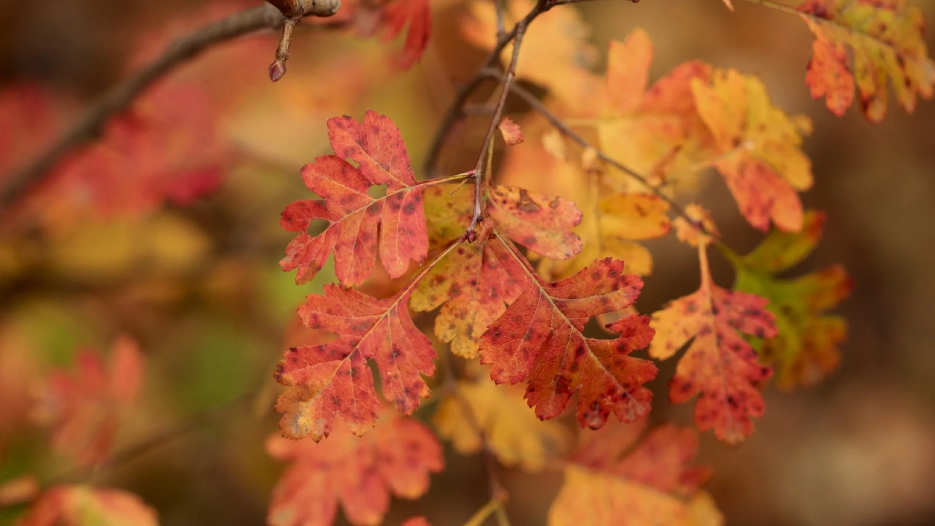 Urban Retreat Weekends