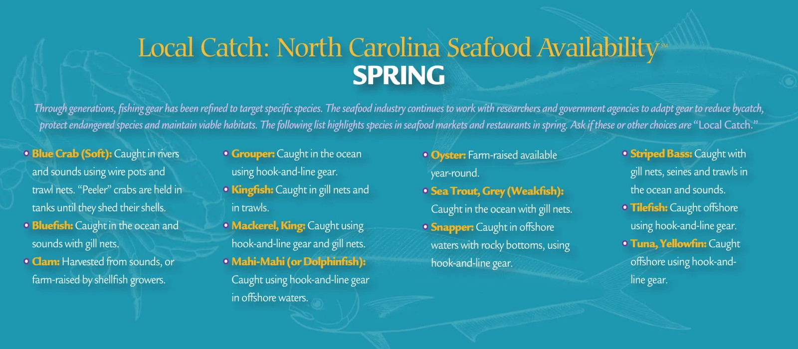 localcatch_spring-2.jpg