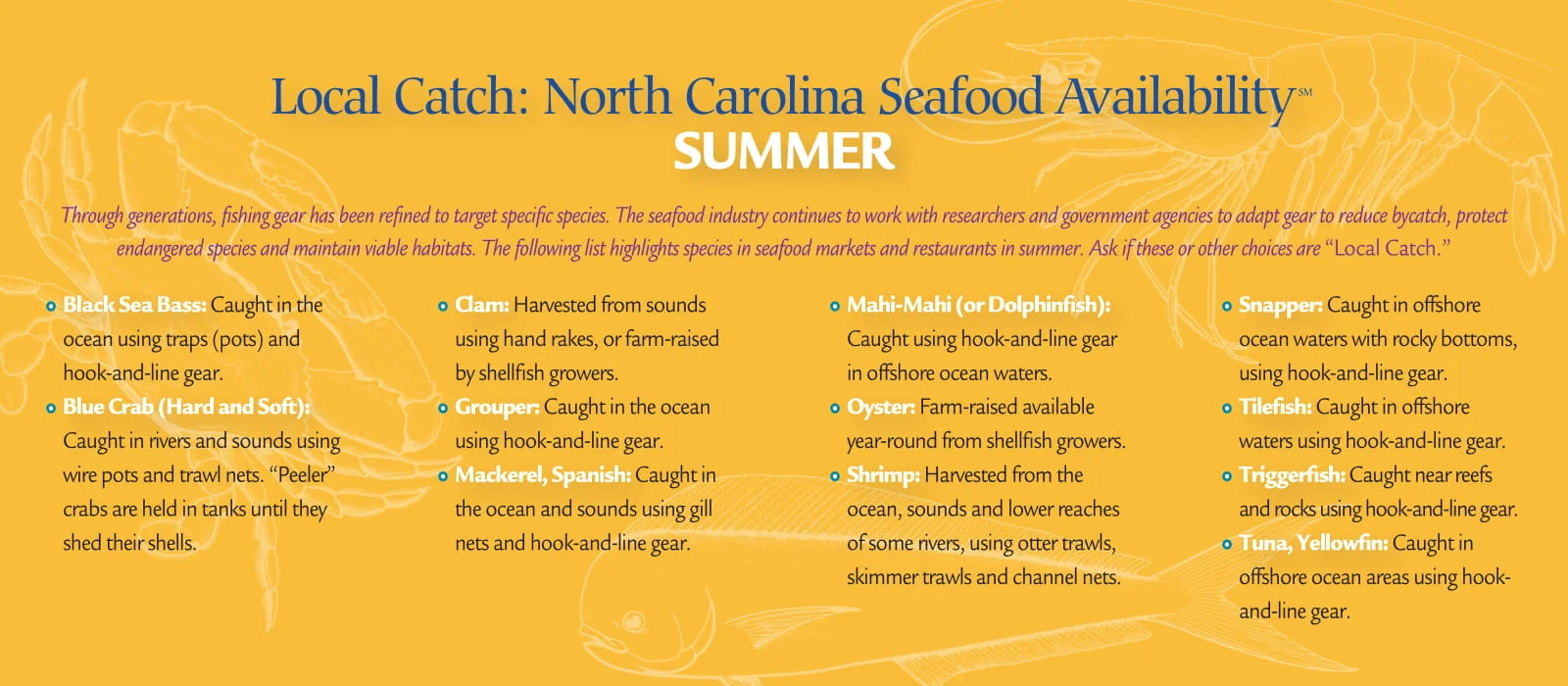 localcatch_summer-2.jpg