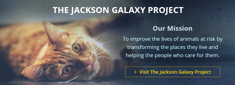 JG+project.png