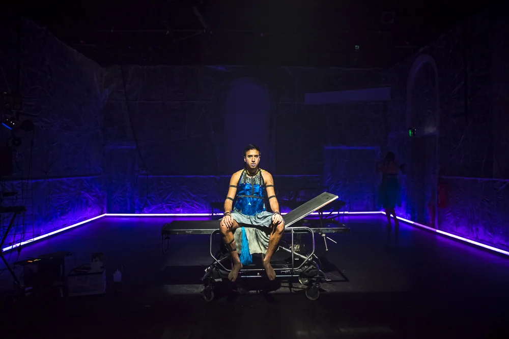 Estrogenisis GregoryLorenzutti.jpg