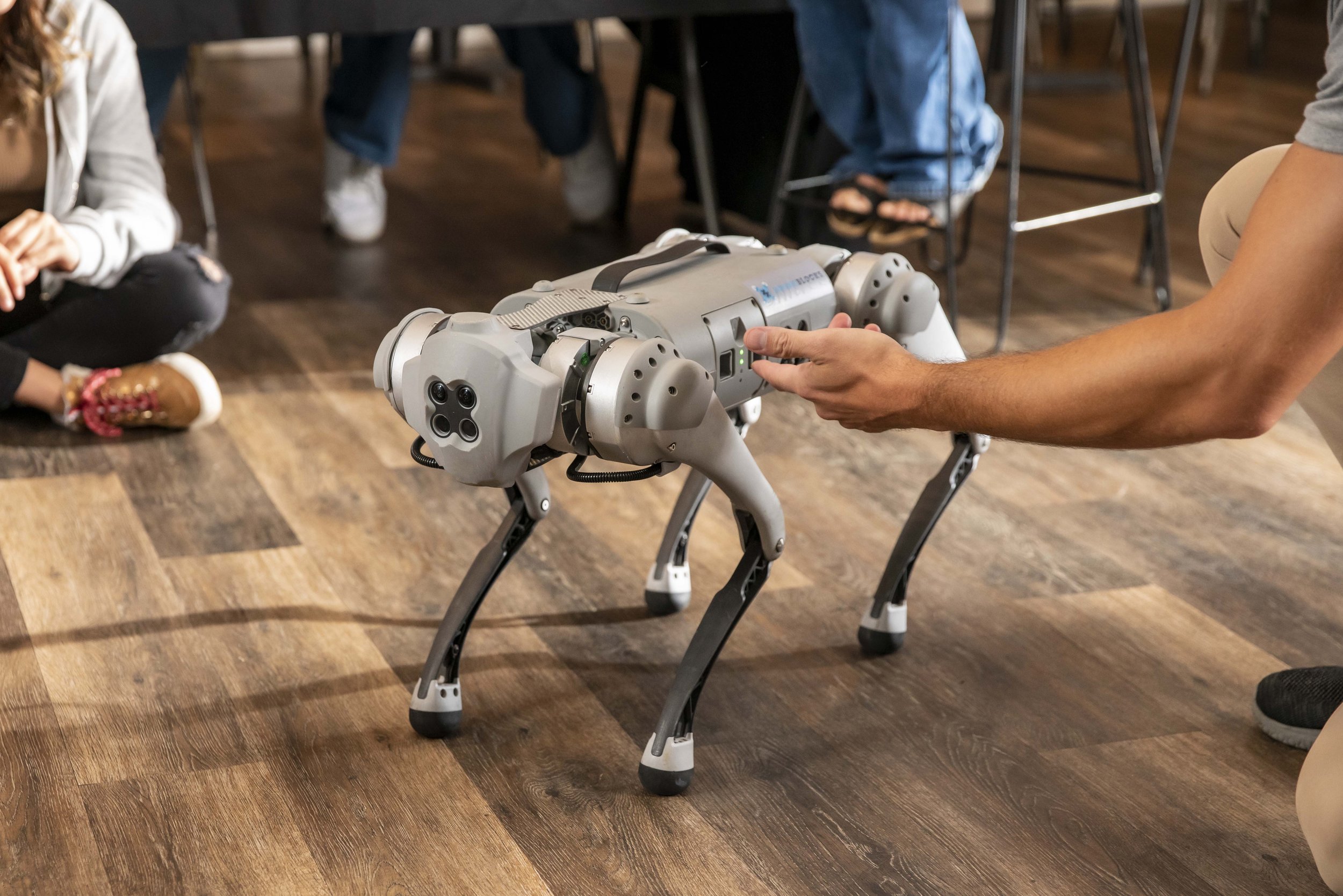 Robot Dogs —