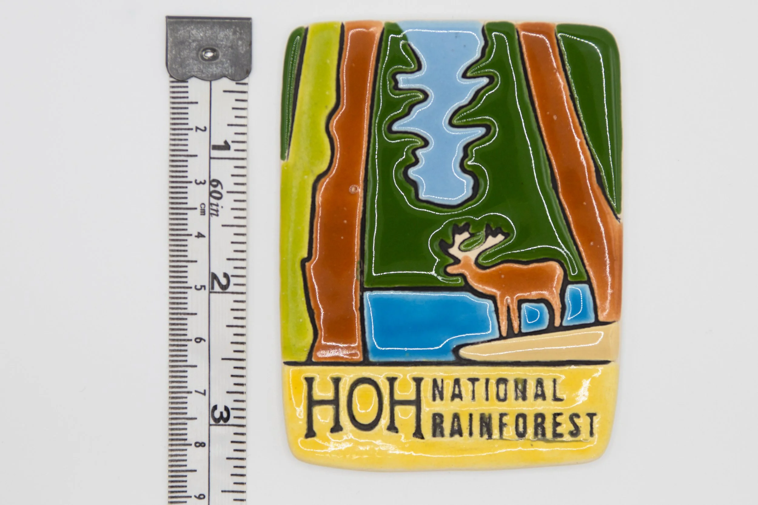 38a-M-Ruler-Hoh Natl Rainforest.JPG