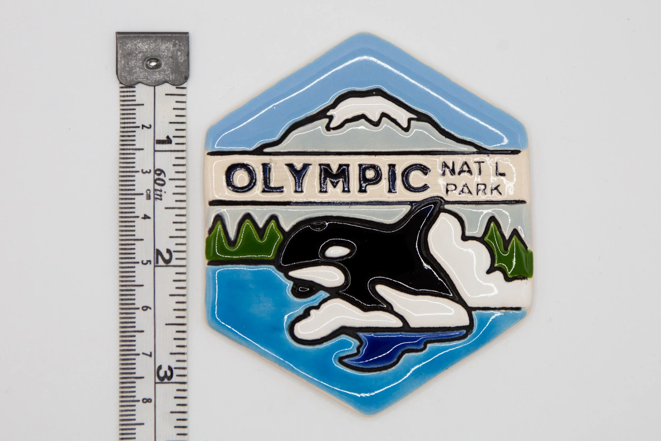 37a-M-Ruler-Olympic Whale.JPG