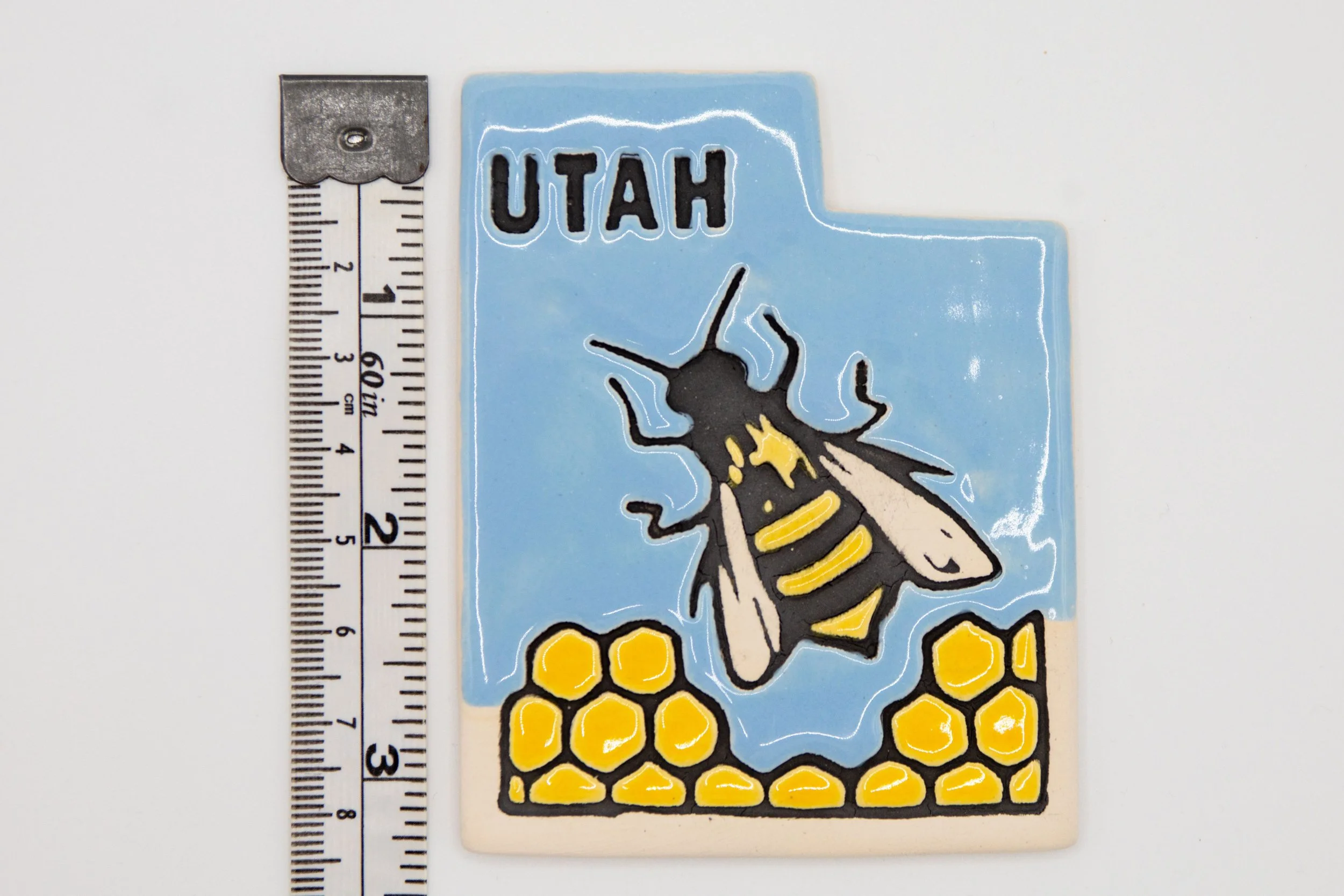 1a-M-Ruler-Bee_compressed.jpg