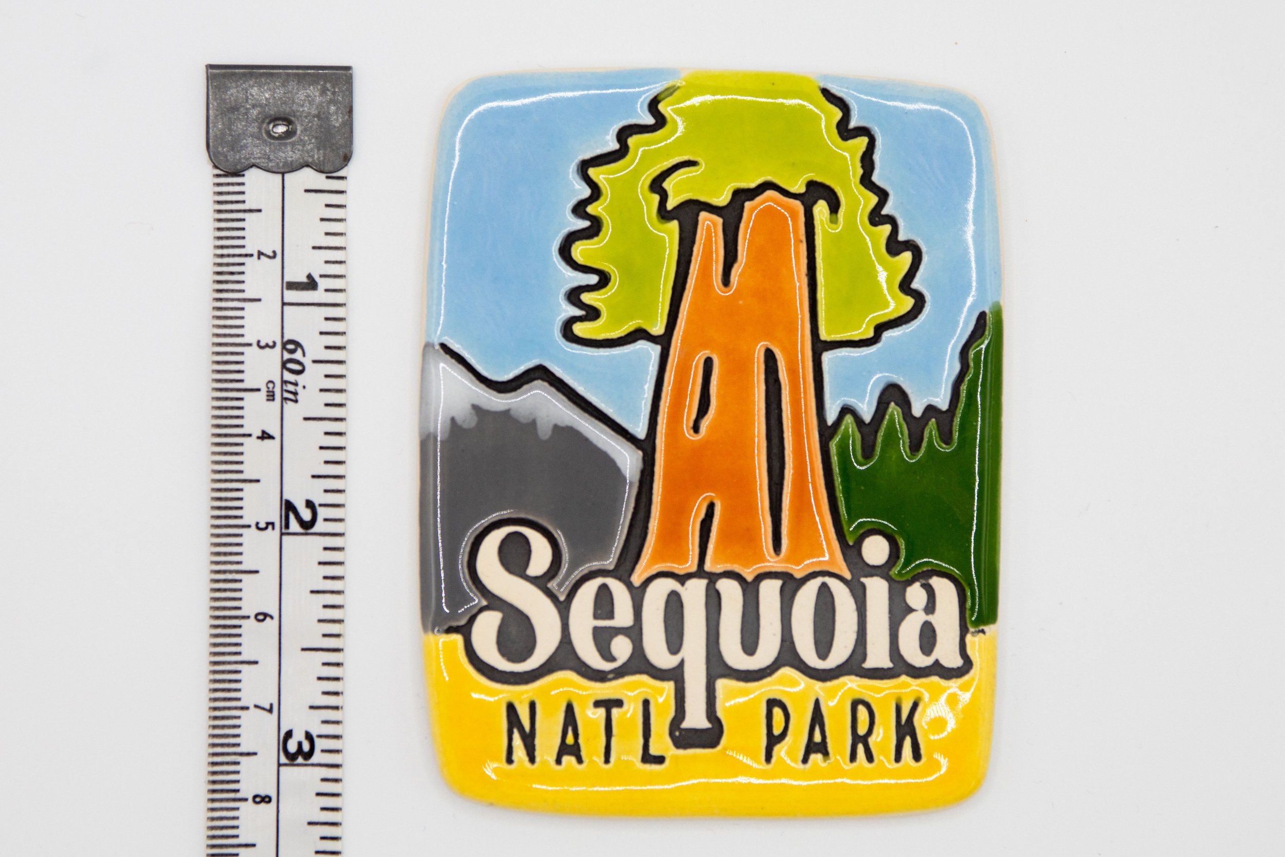 31a-M-Ruler-Sequoia Natl Park_compressed.jpg