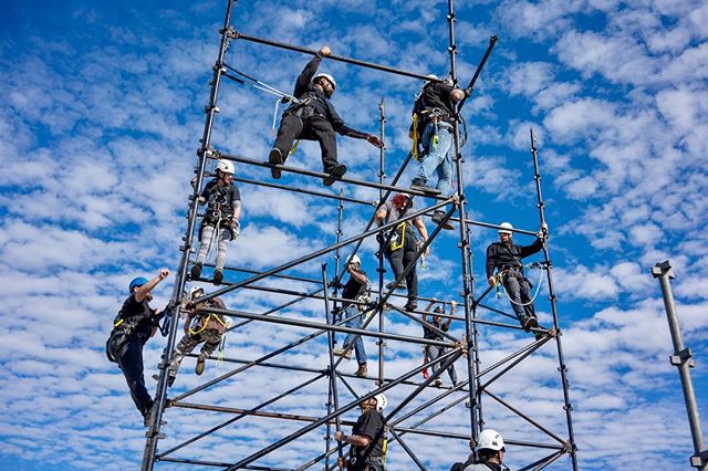 Scaffold Training