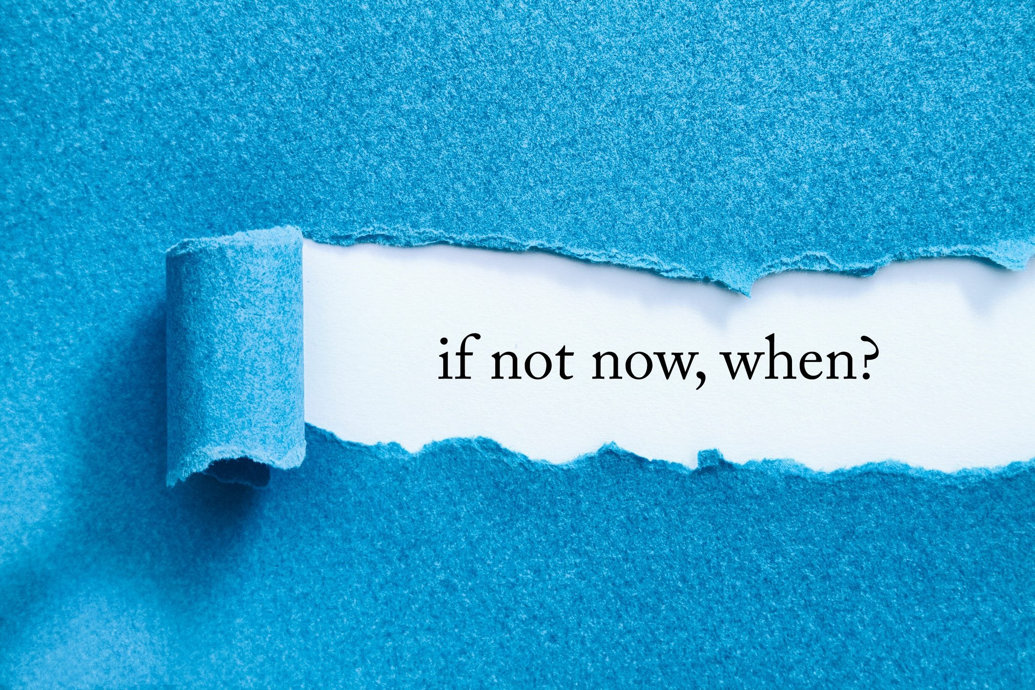 For website Adults using violence.jpg