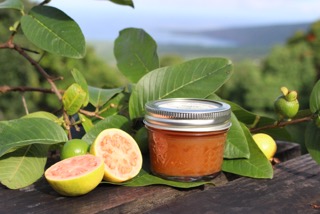 guava jam