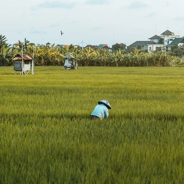 Photo by:  Reinhardt O’Kennedy