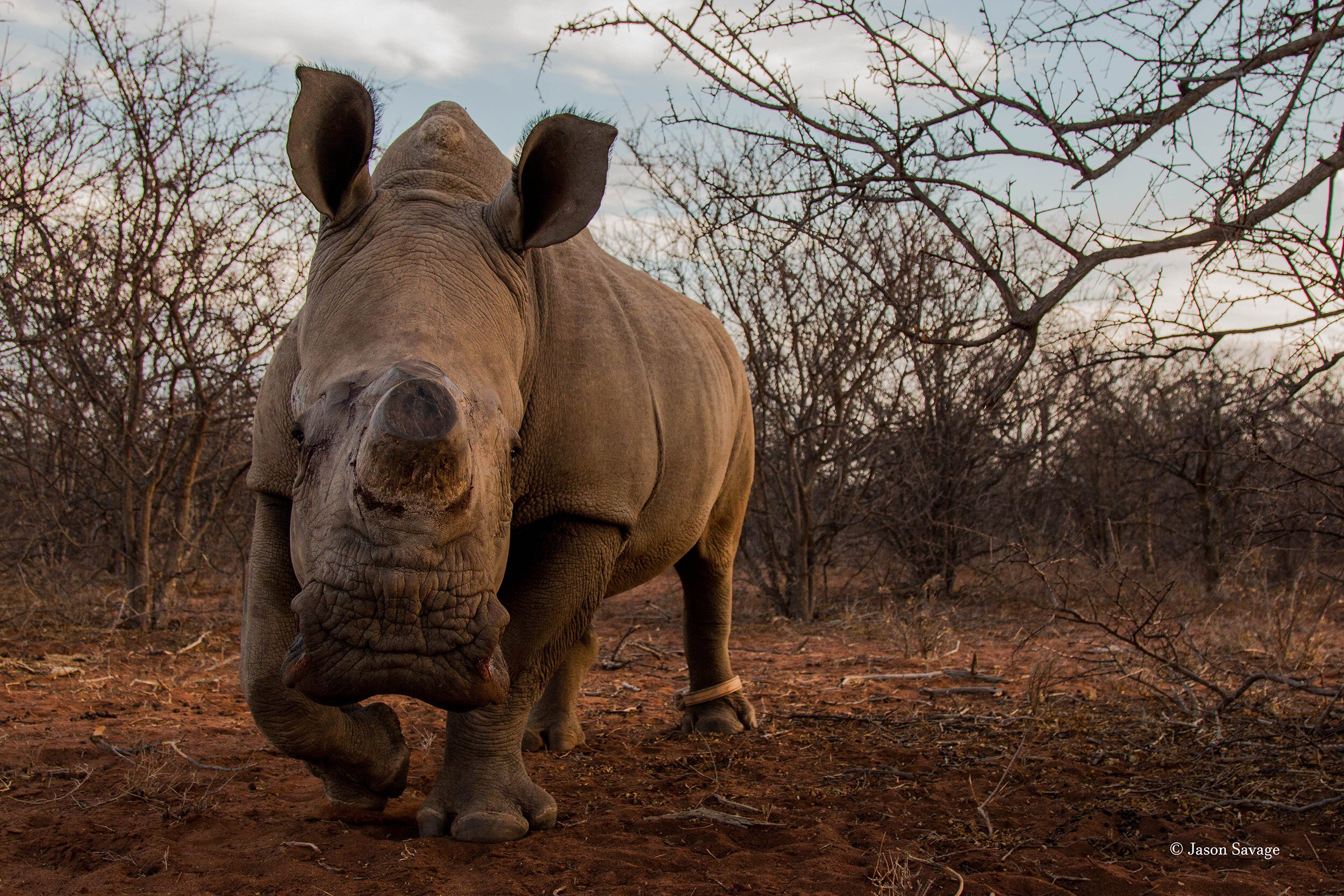 RB1 approach (1 of 1).jpg