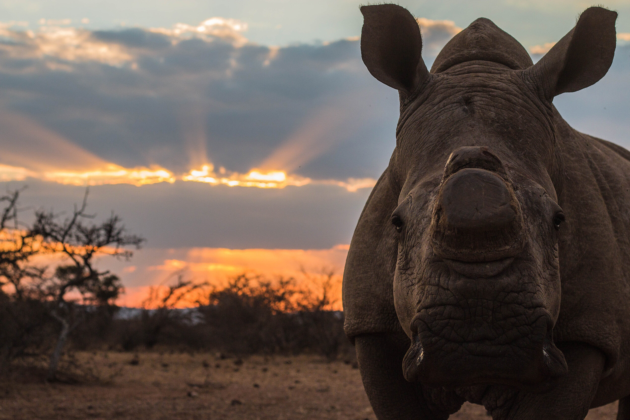 RC1 sunset clouds (1 of 1).jpg