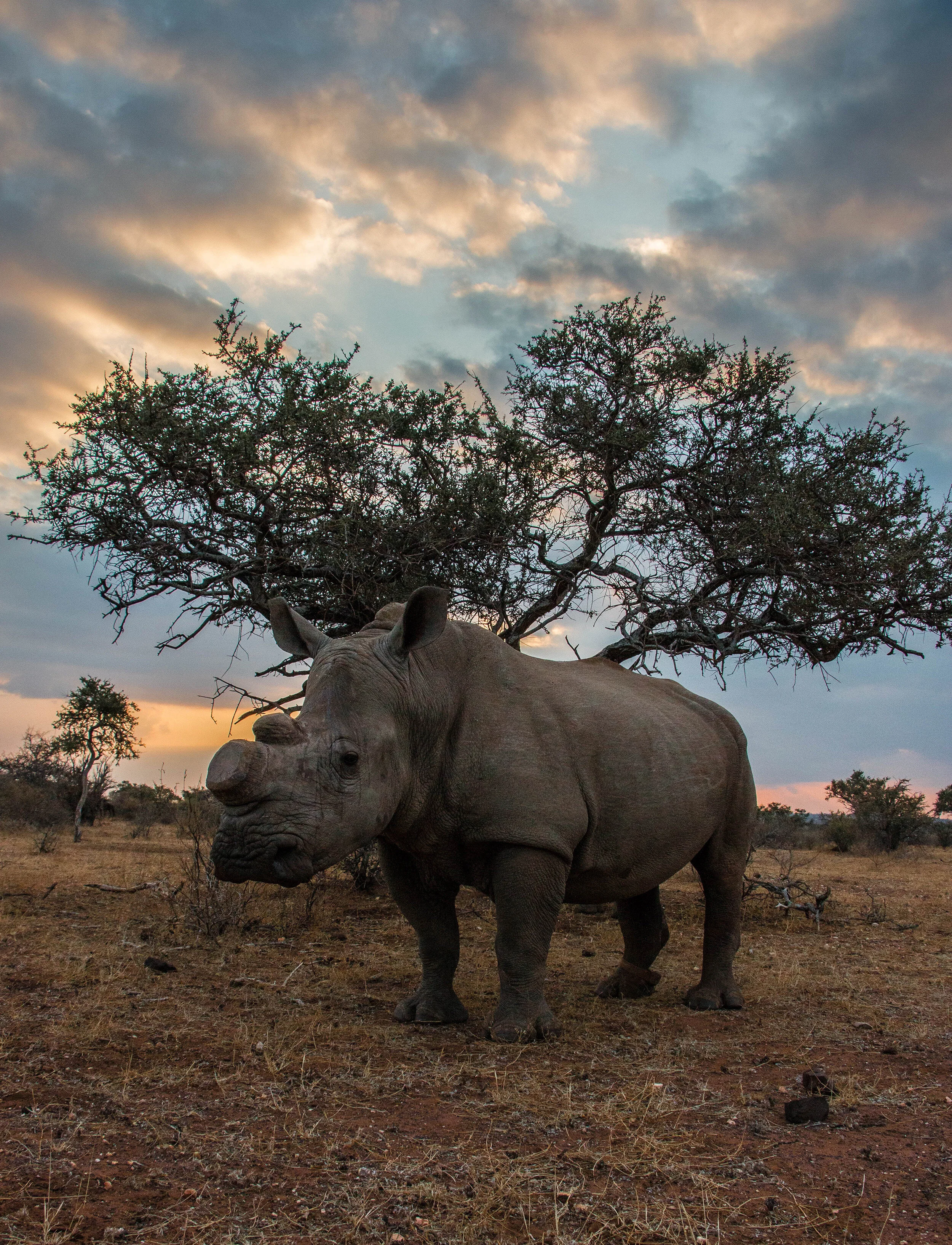 RC1 Clouds (1 of 1).jpg