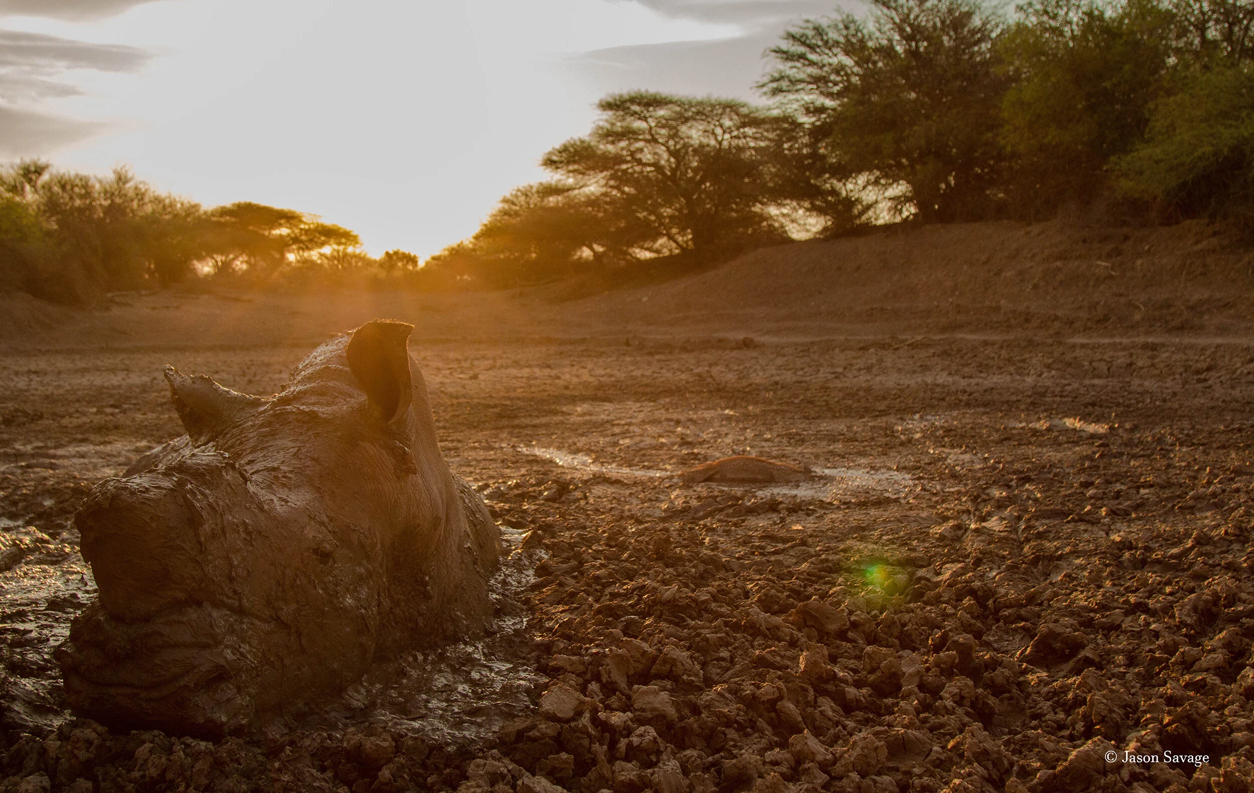 RC2 mud bath (1 of 1).jpg