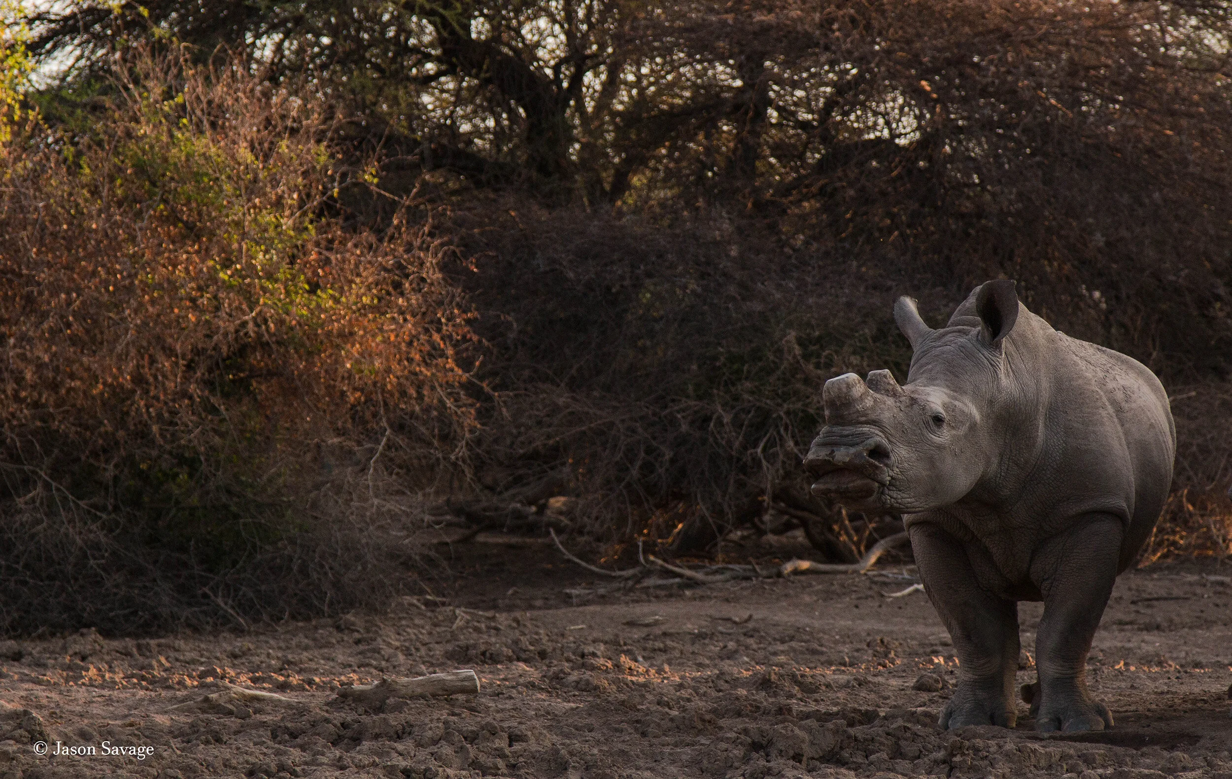 RC3 flheman (1 of 1).jpg