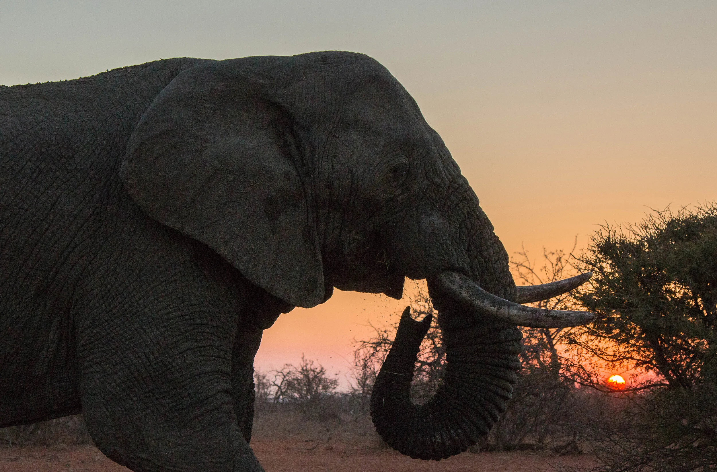 Zimbabwe sunset2 (1 of 1).jpg