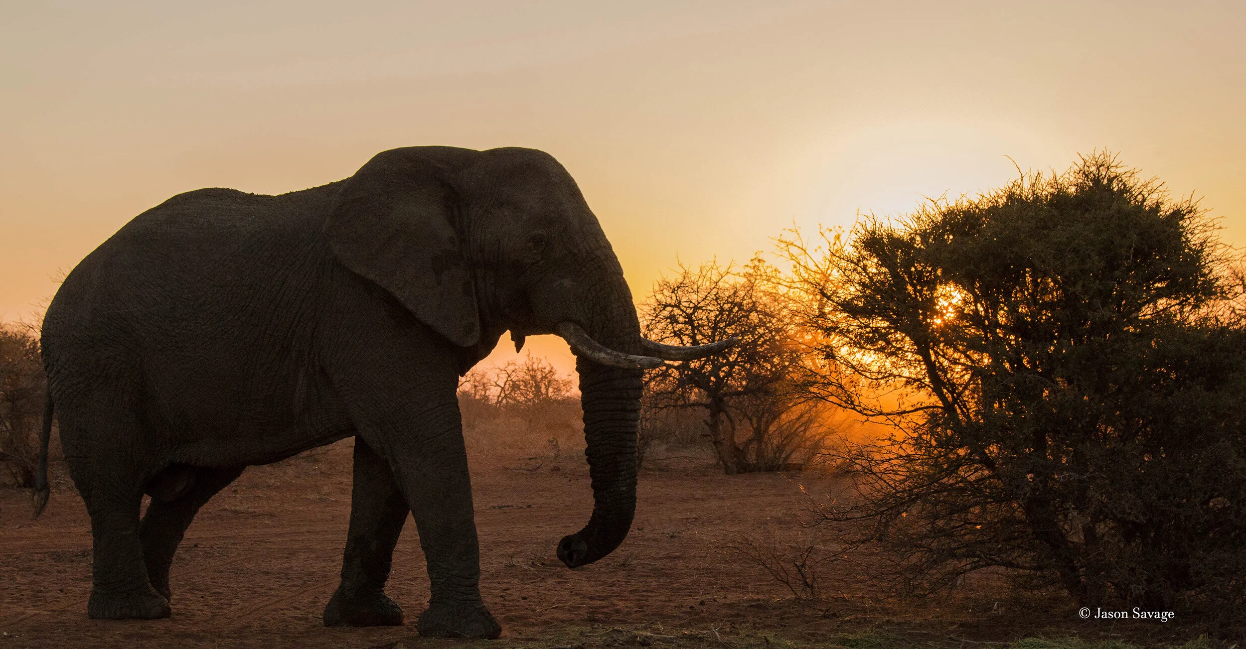 Zimbabwe sunset (1 of 1).jpg