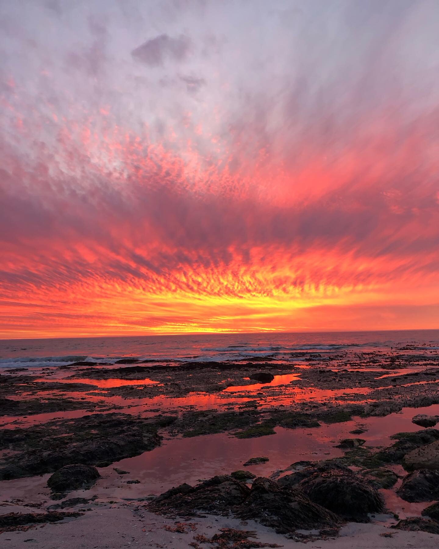 No filter with these images 🤩 can you believe the amazing pink sunsets 🌅 we had on the beach over the holiday break! Unbelievable 🌅💕🥂

#welcome #livingfortheweekend #oppiduin #grootvleiguestfarm #peace #proudlysouthafrican #holiday #honeymoonsui