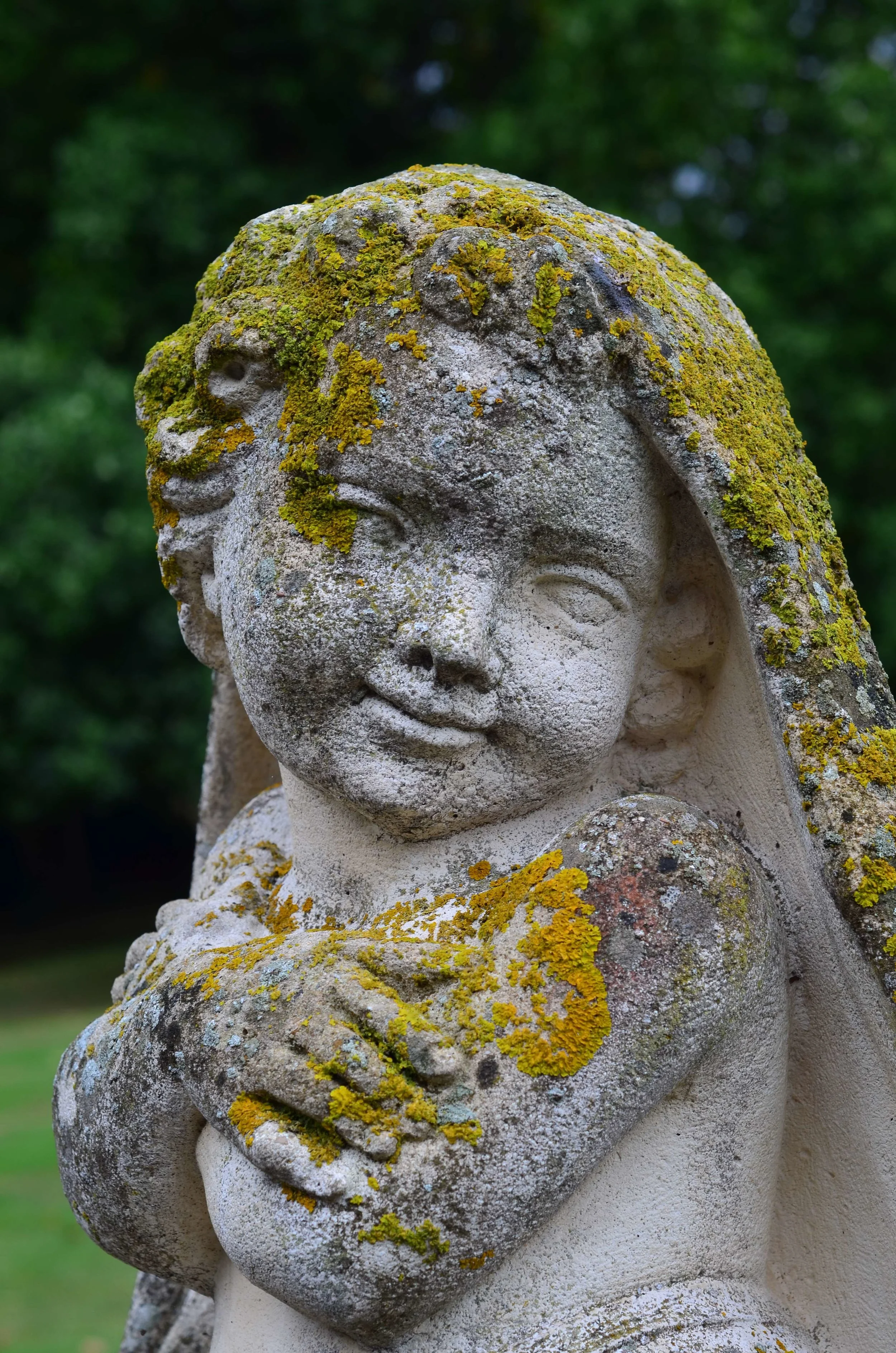 DSC_0109.jpg