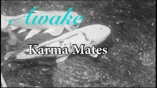 Karma Mates