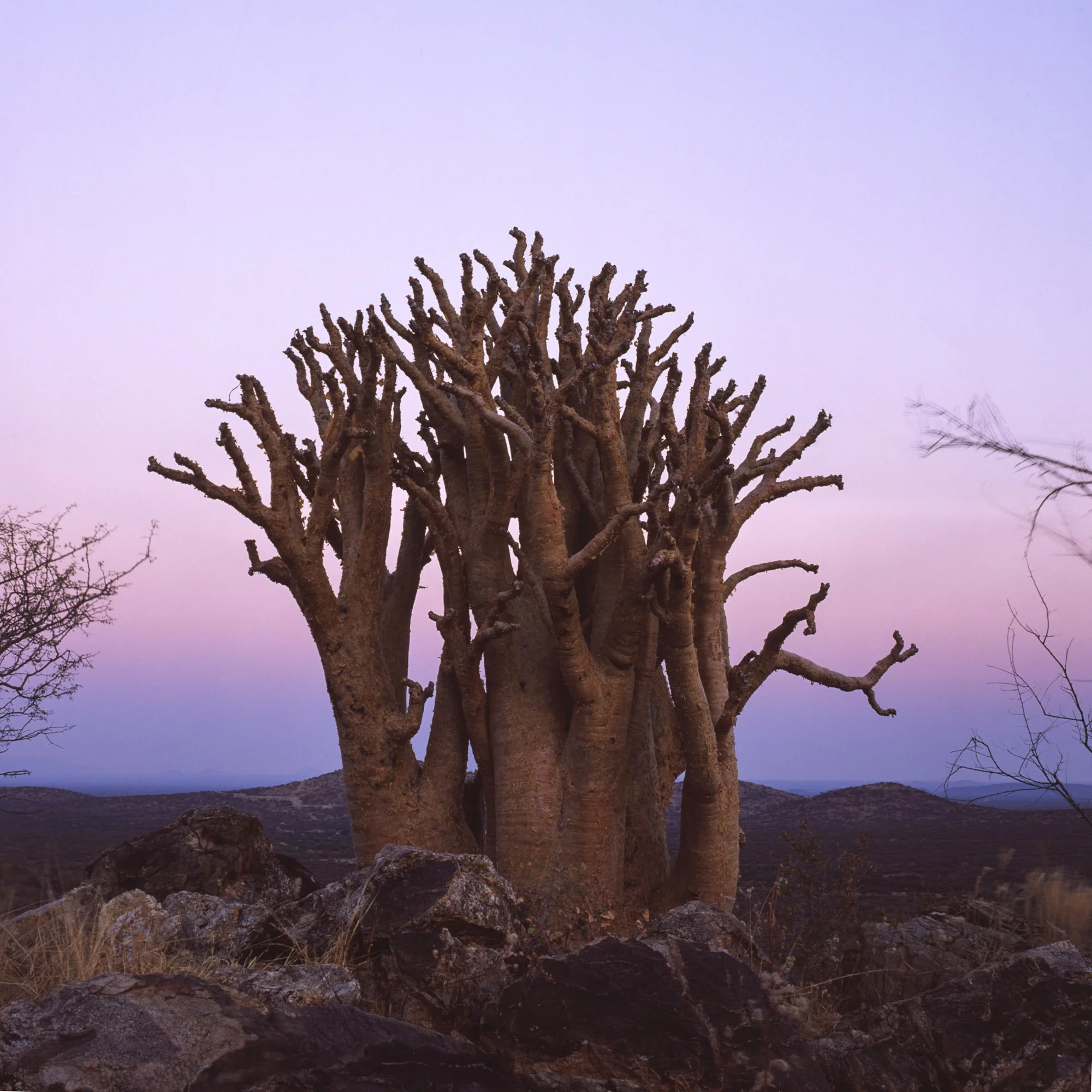 Abendfarben Namibia