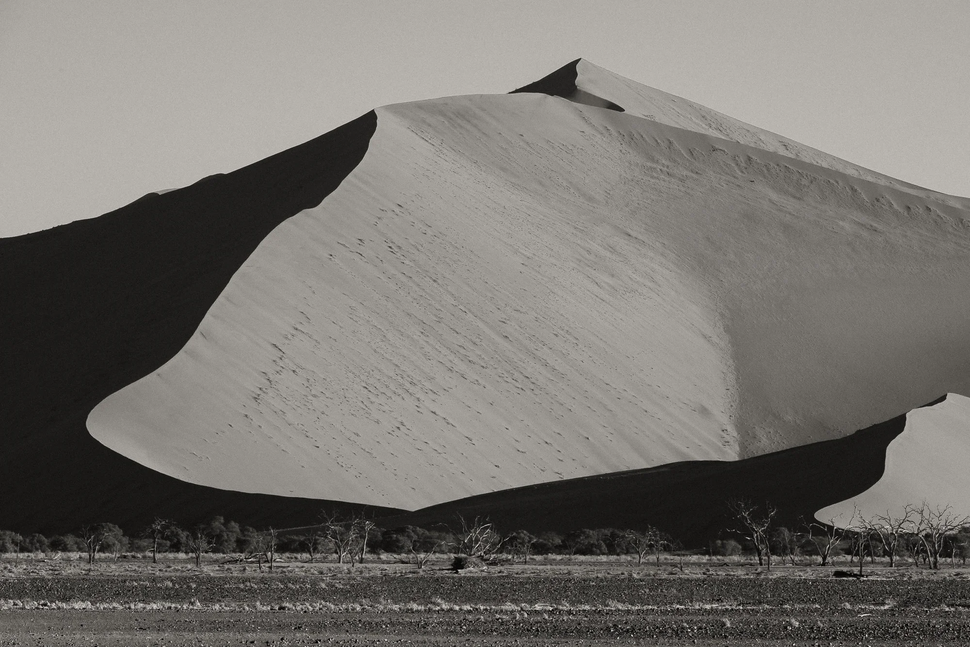 Morgen im Sossusvlei