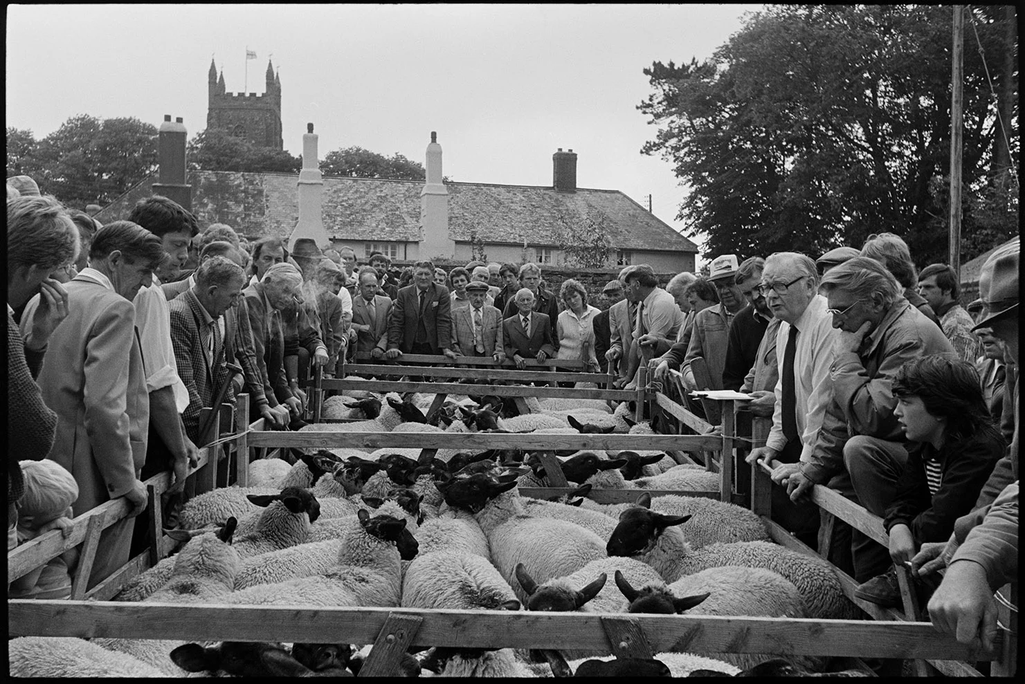 Sheep sale at fair, Chulmleigh, July, 1987