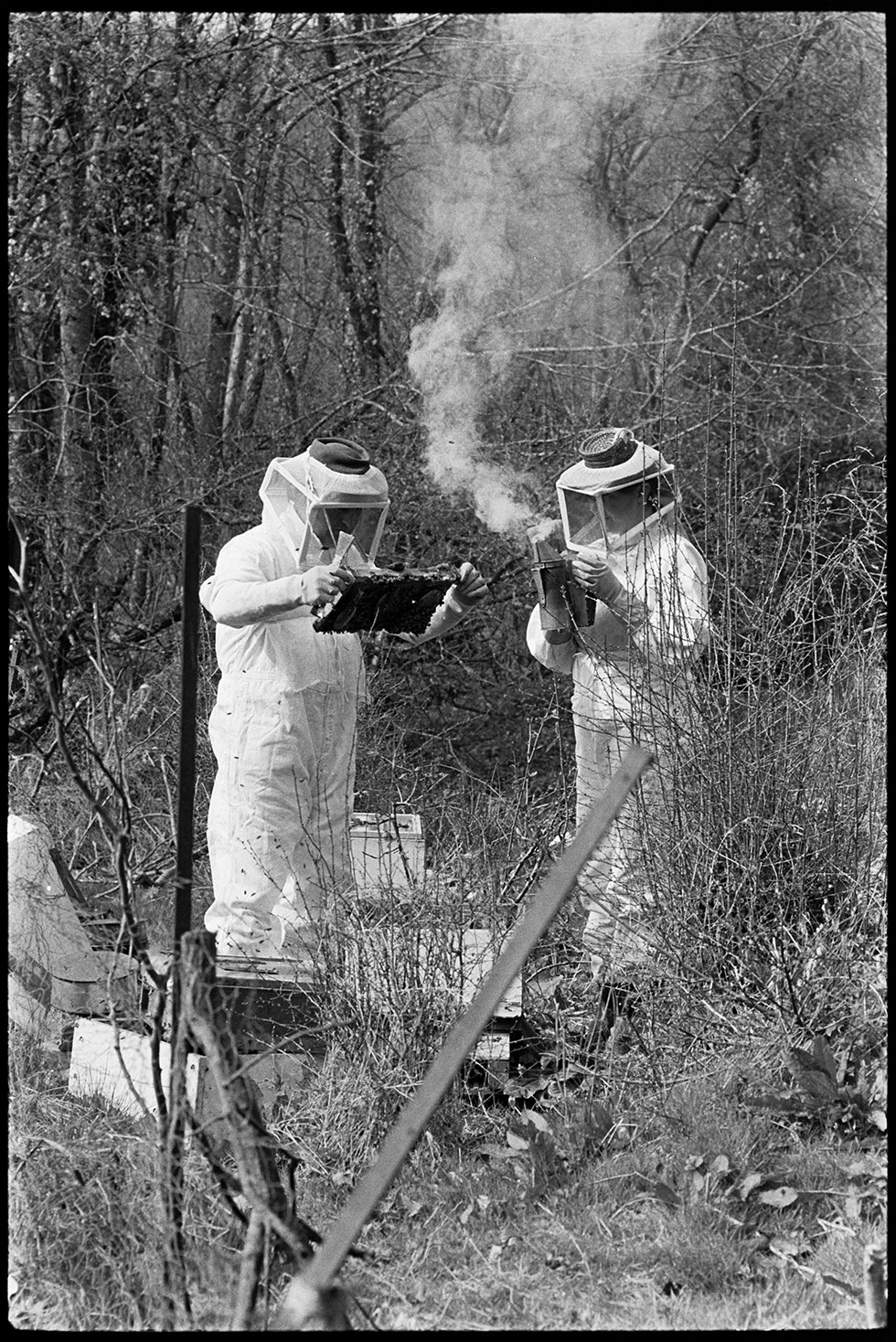 Bee keepers - Rose & Michael Mitchell, Dolton, Addisford, April 1974.