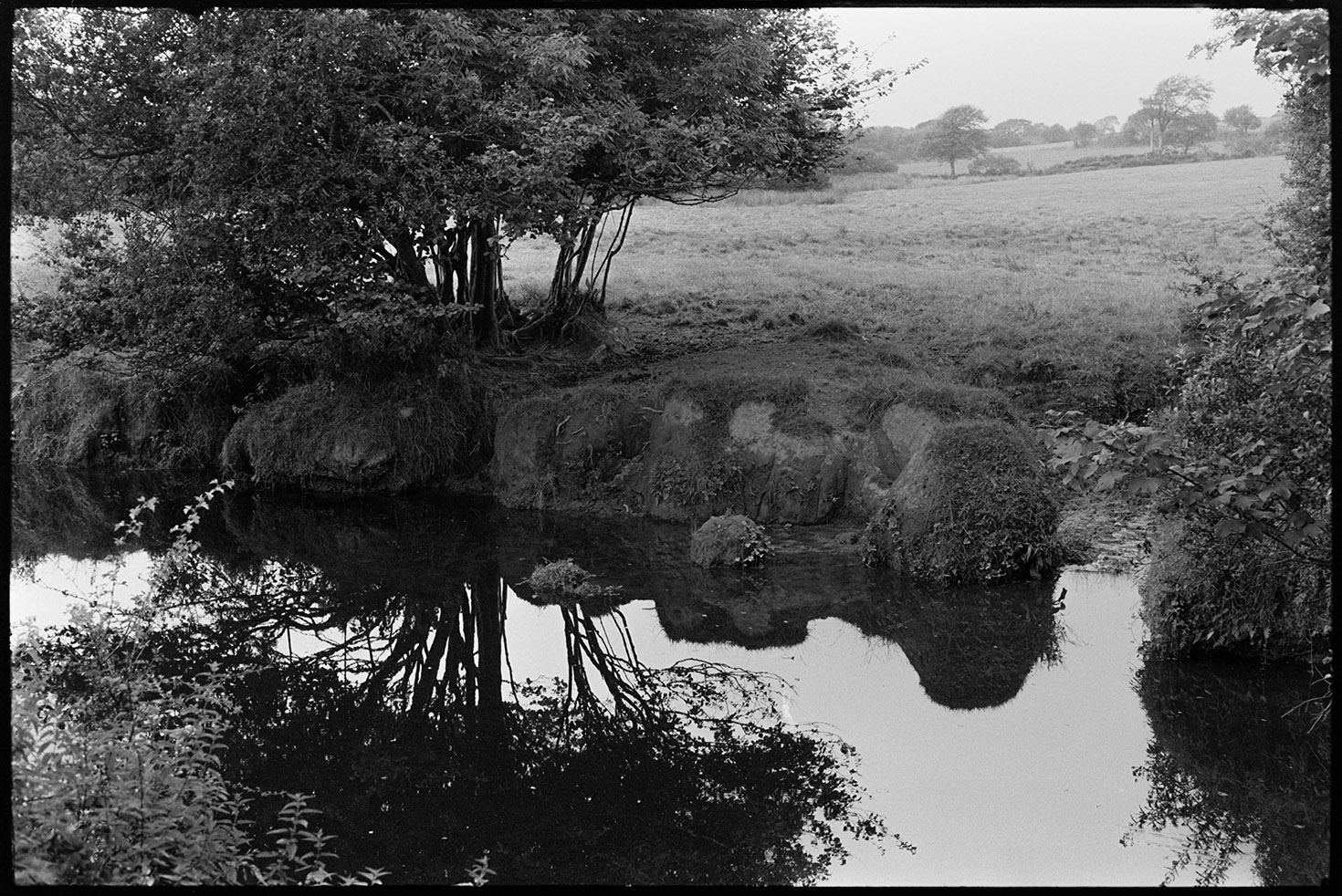 Natural Landscape, near the source of the Torridge.