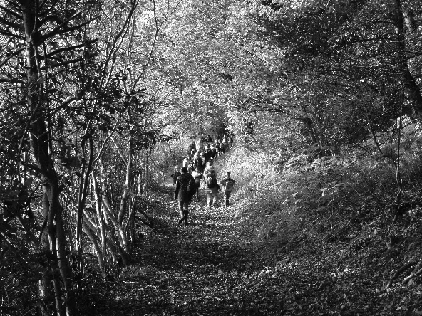 SM Community Trail.jpg