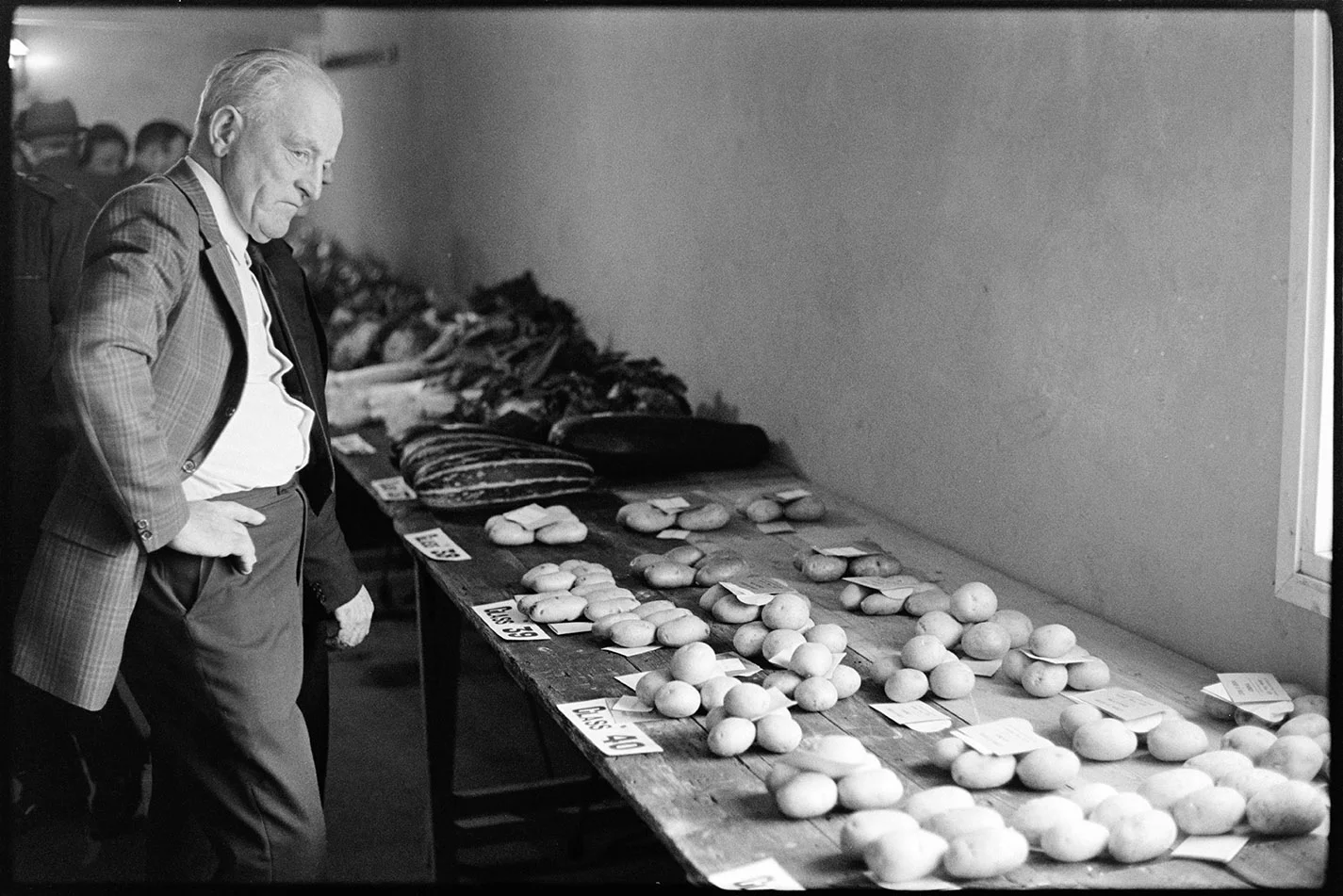 Man looking at potatoes, flower show, St Giles in the Wood, 26 October 1974. Documentary photograph by James Ravilious for the Beaford Archive © Beaford Arts