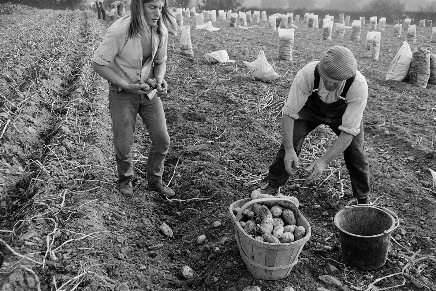 Documentary photograph by Roger Deakins for the Beaford Archive © Beaford Arts