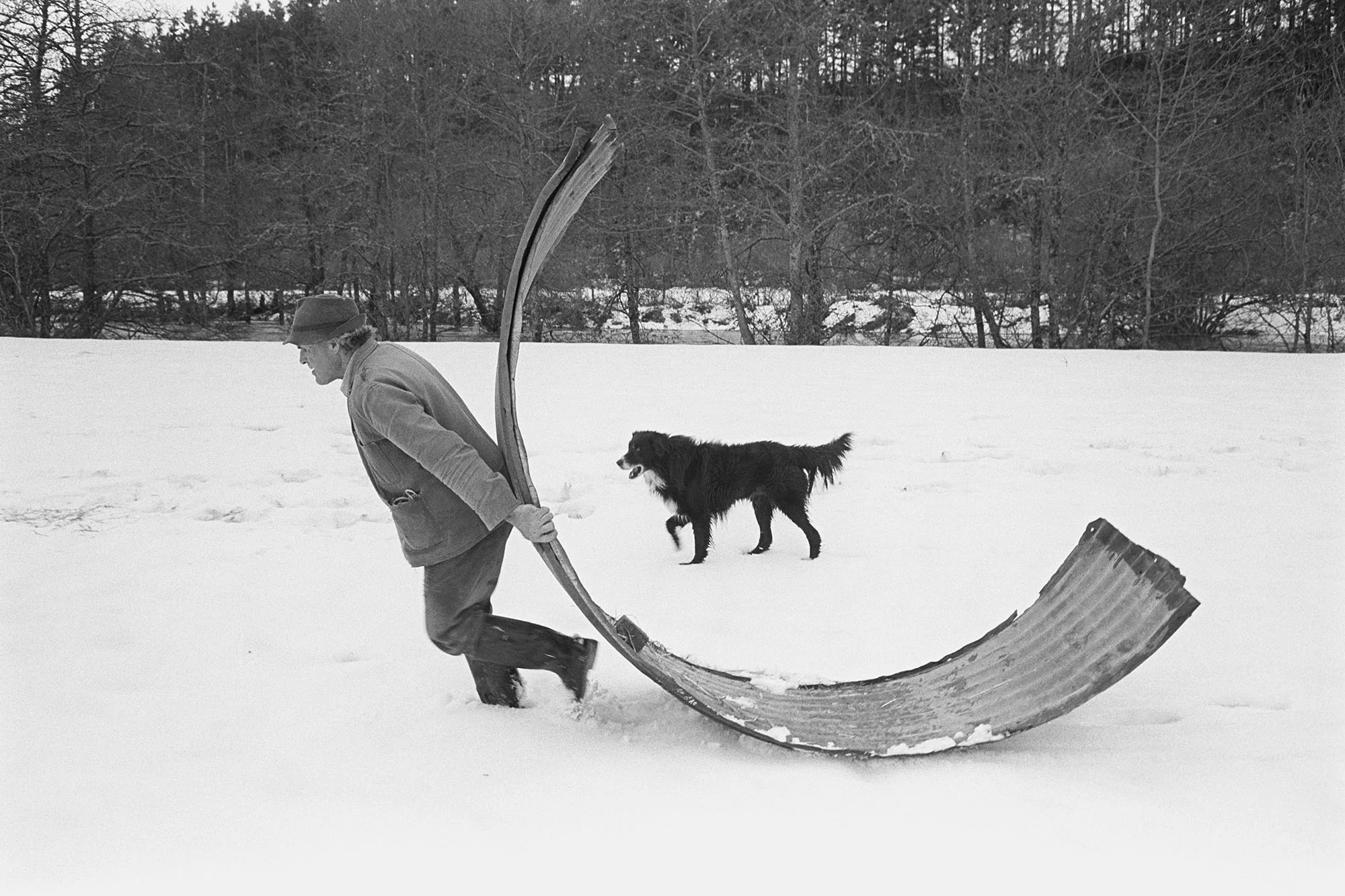 Alf Pugsley moving a shed in case of flood, Lower Langham, Dolton, February 1978