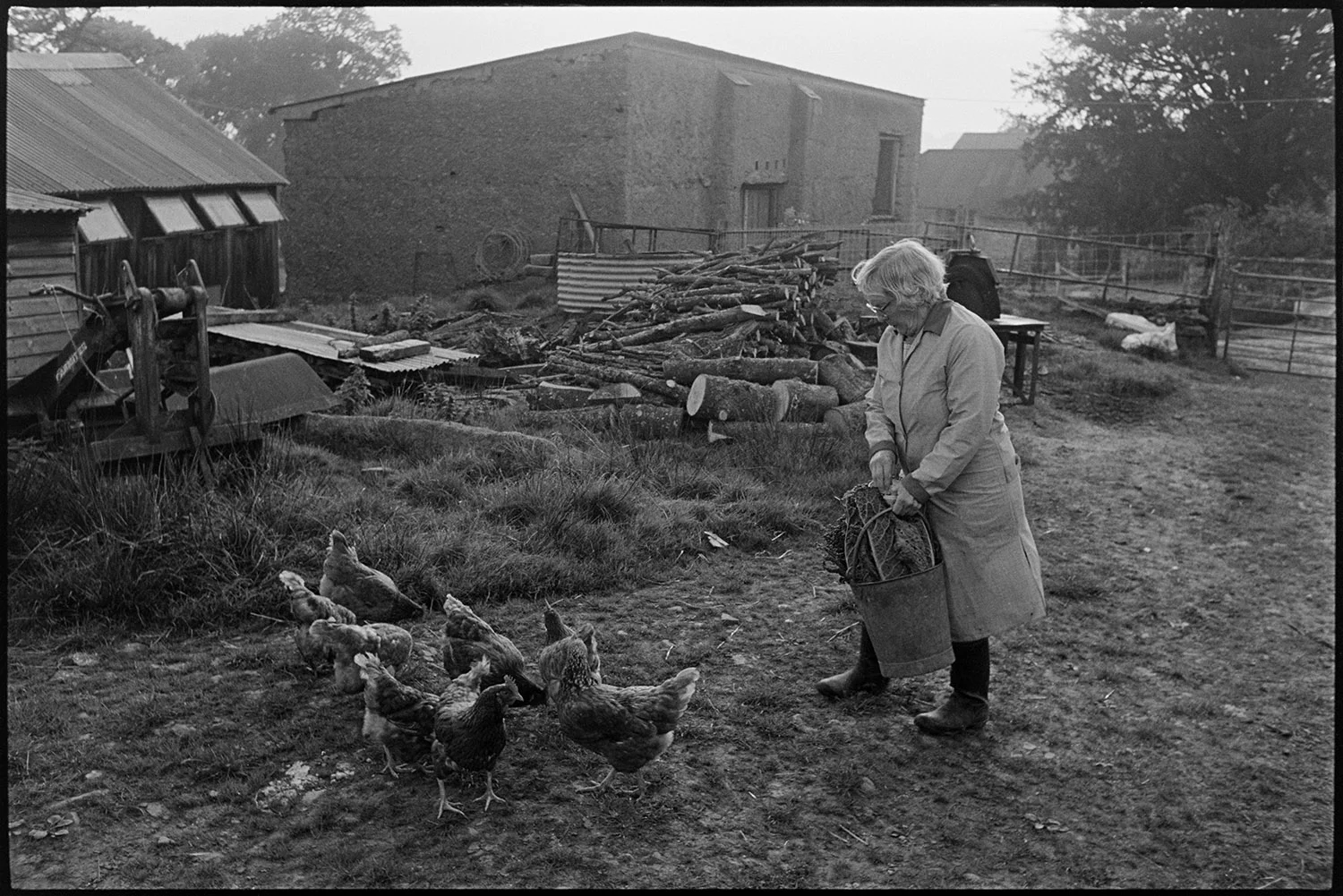 May Pugsley feeding chickens, Dolton, Lower Langham, October 1985. Documentary photograph by James Ravilious for the Beaford Archive.