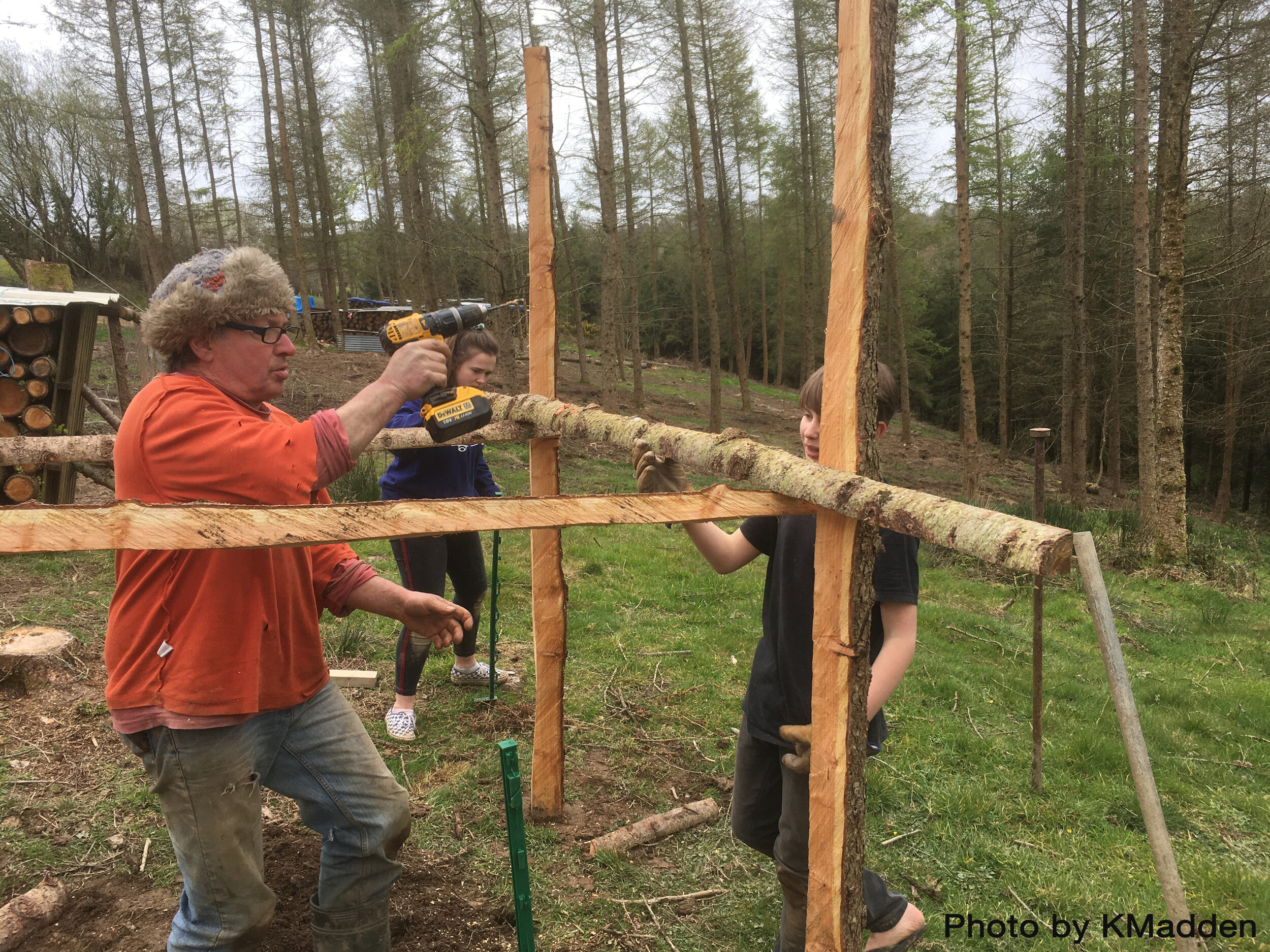 Building cages in the orchard Lee 010420 KMadden.jpg