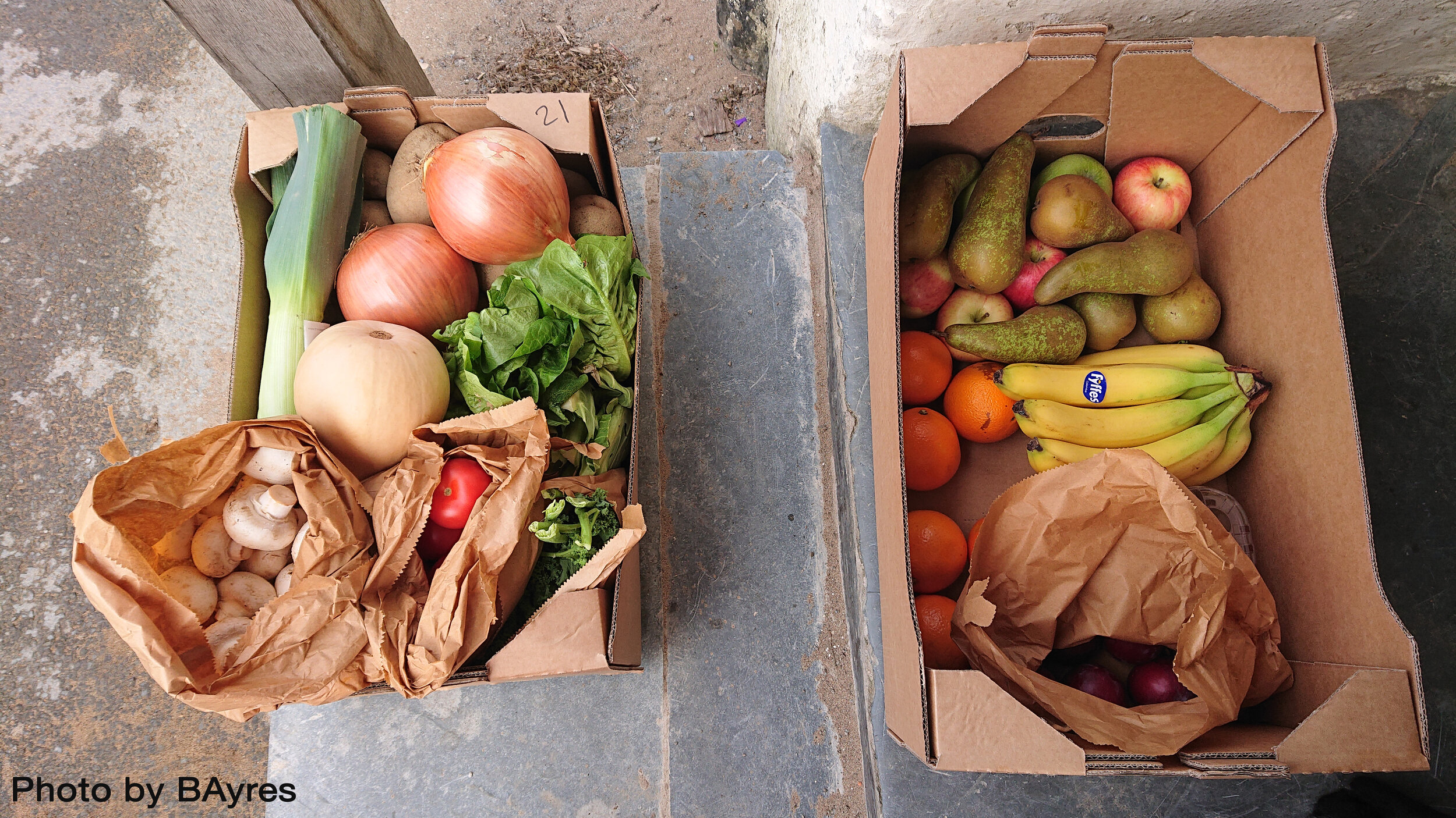 BAyres Veg and fruit box home delivery Tawstock 030420.JPG