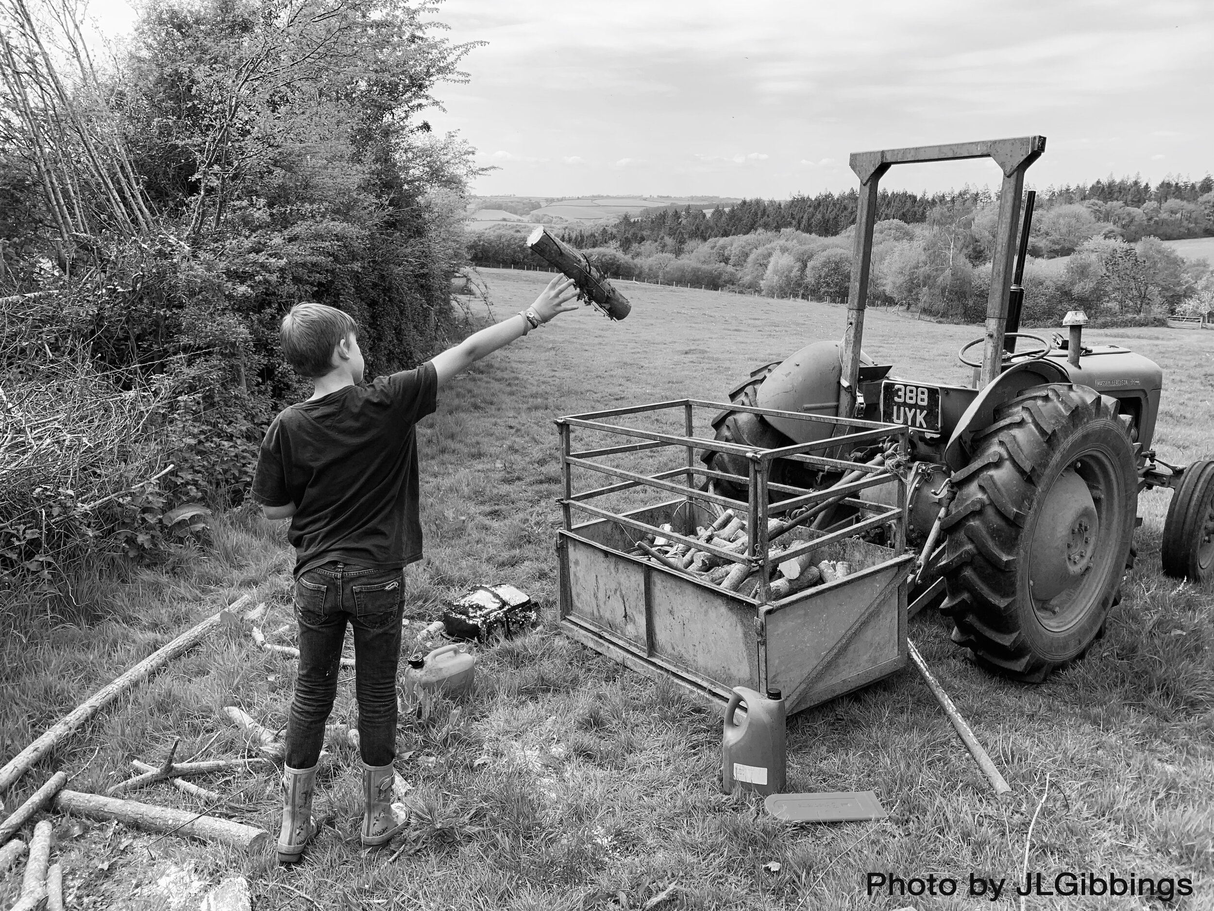 LGibbings Collecting firewood Chumleigh 260420.jpg