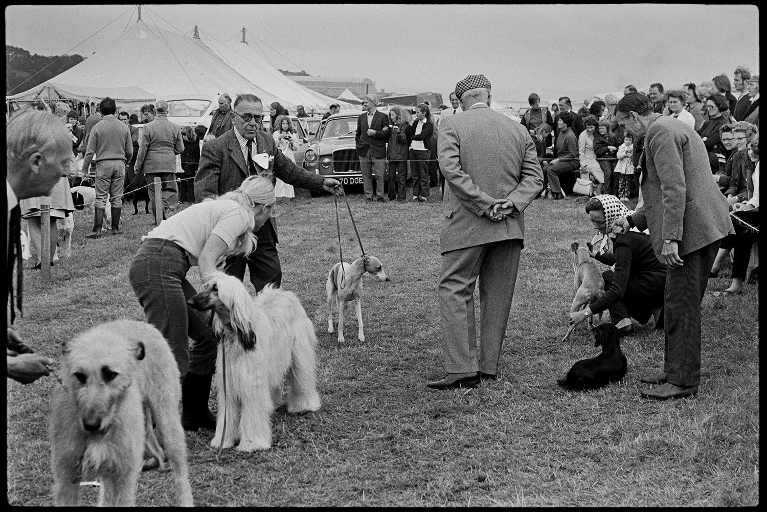 DEA-03-0058-24 Dog show at the North Devon Show, Instow, 1972.jpg