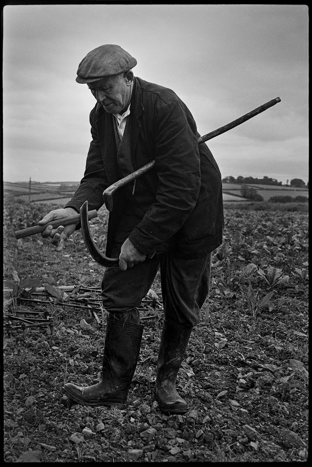 Man sharpening a sickle for trimming a hedgerow to prevent weeds spreading to a potato crop, Mill Road Farm, Beaford, 1972. Sir Roger Deakins CBE