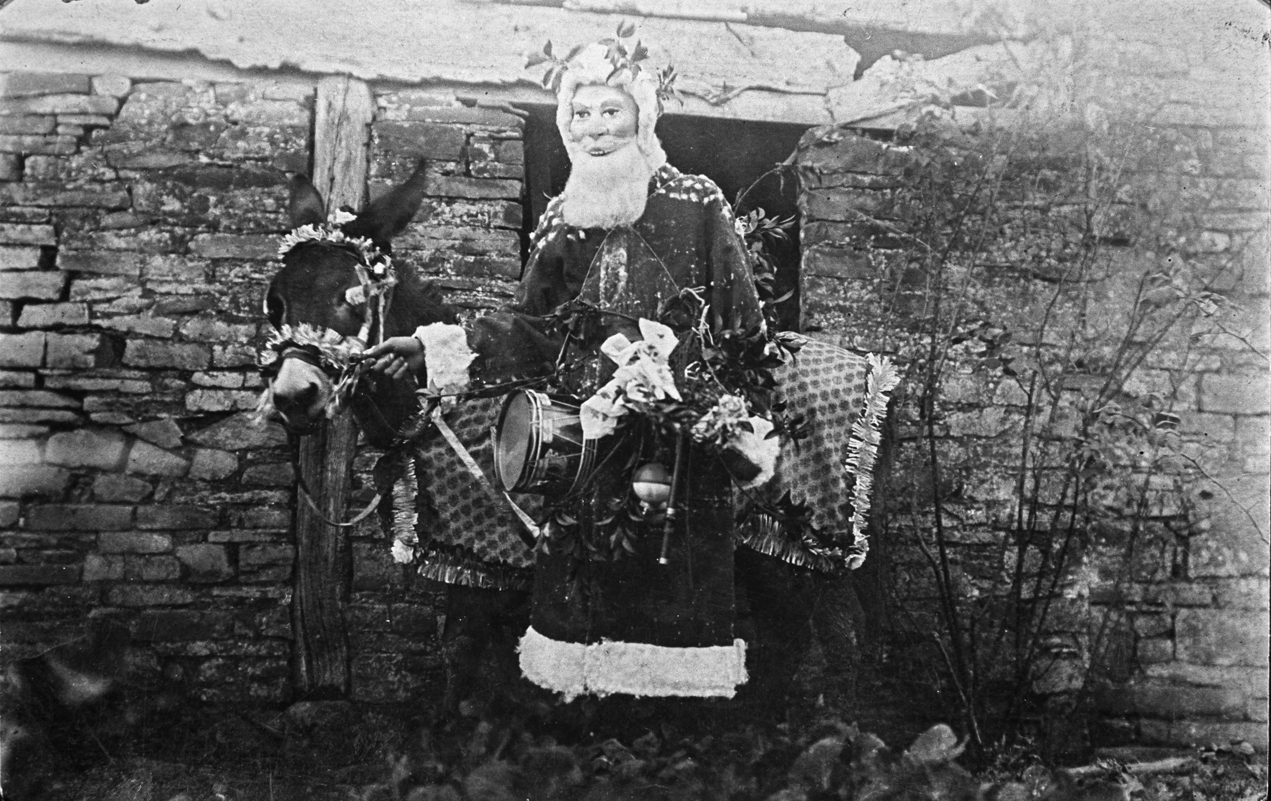 BOA-b01696
