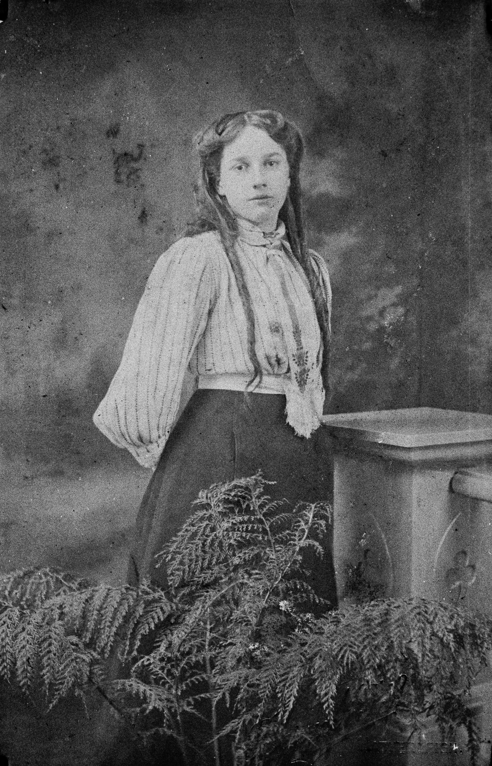 BOA-b06197