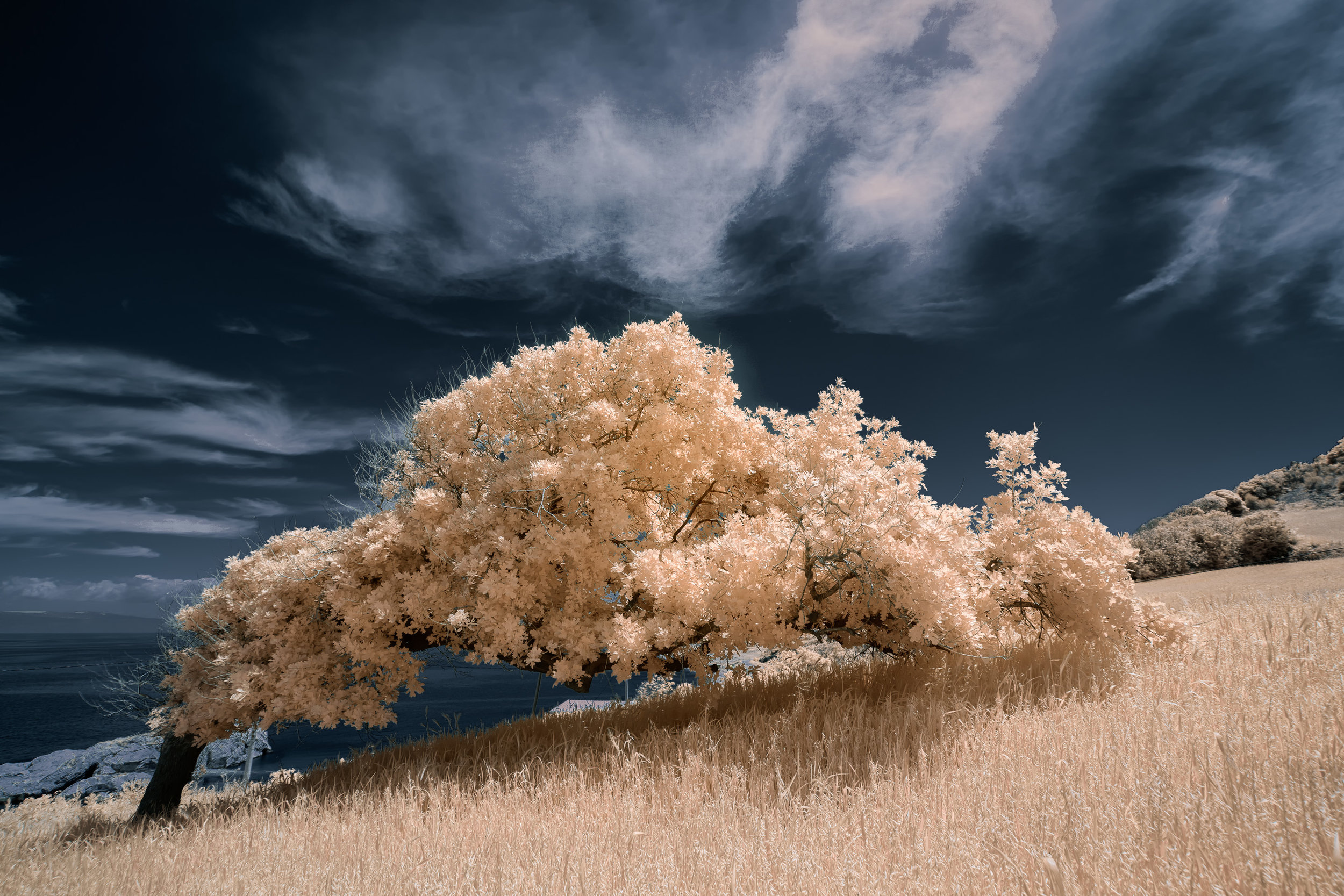 Bend by the wind