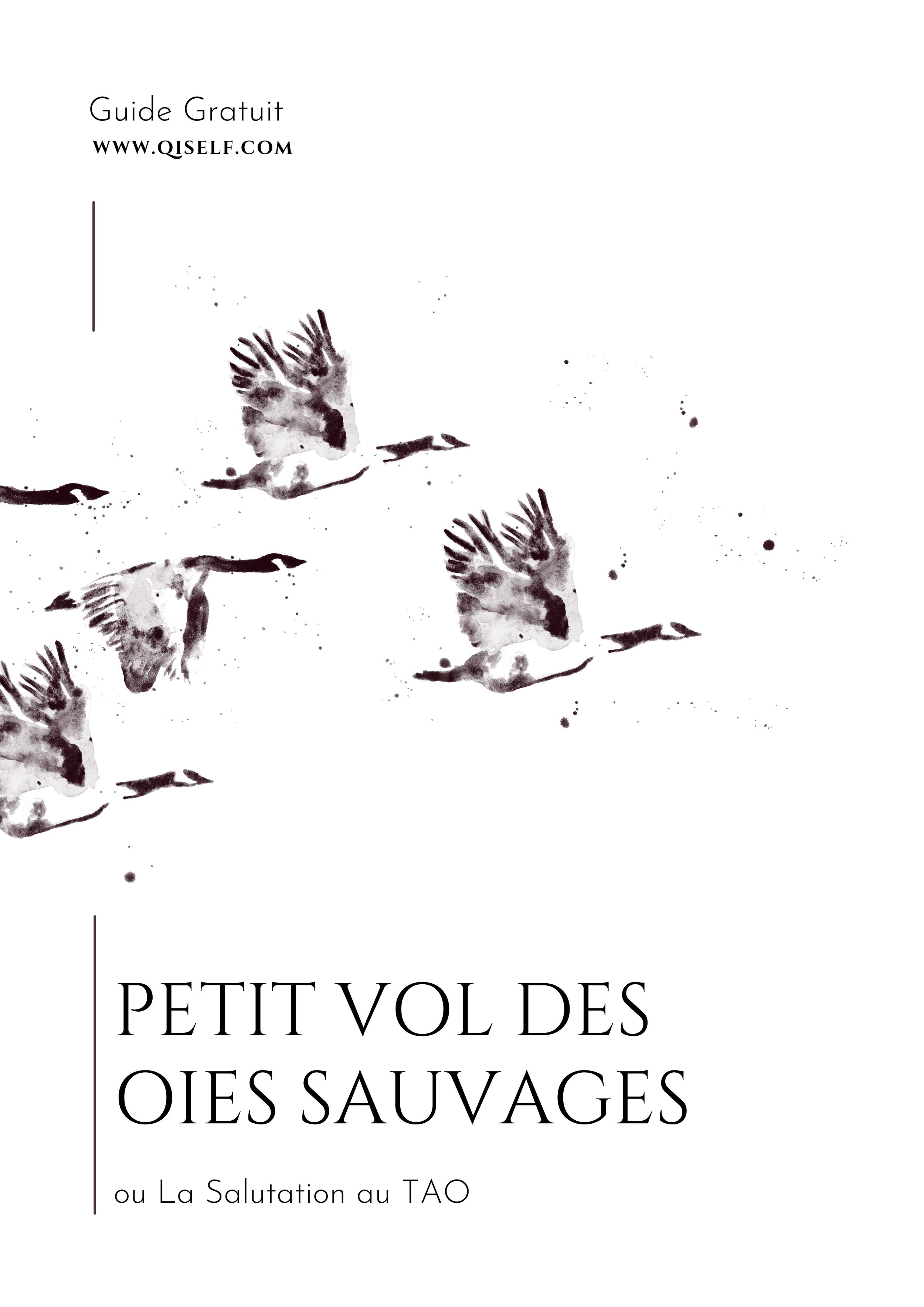 Petit Vol des Oies Sauvages