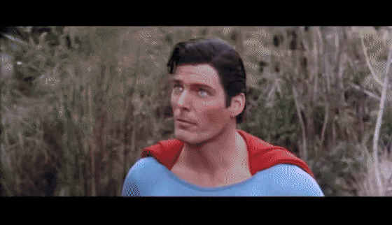 TautWarlikeBeardedcollie-size_restricted.gif