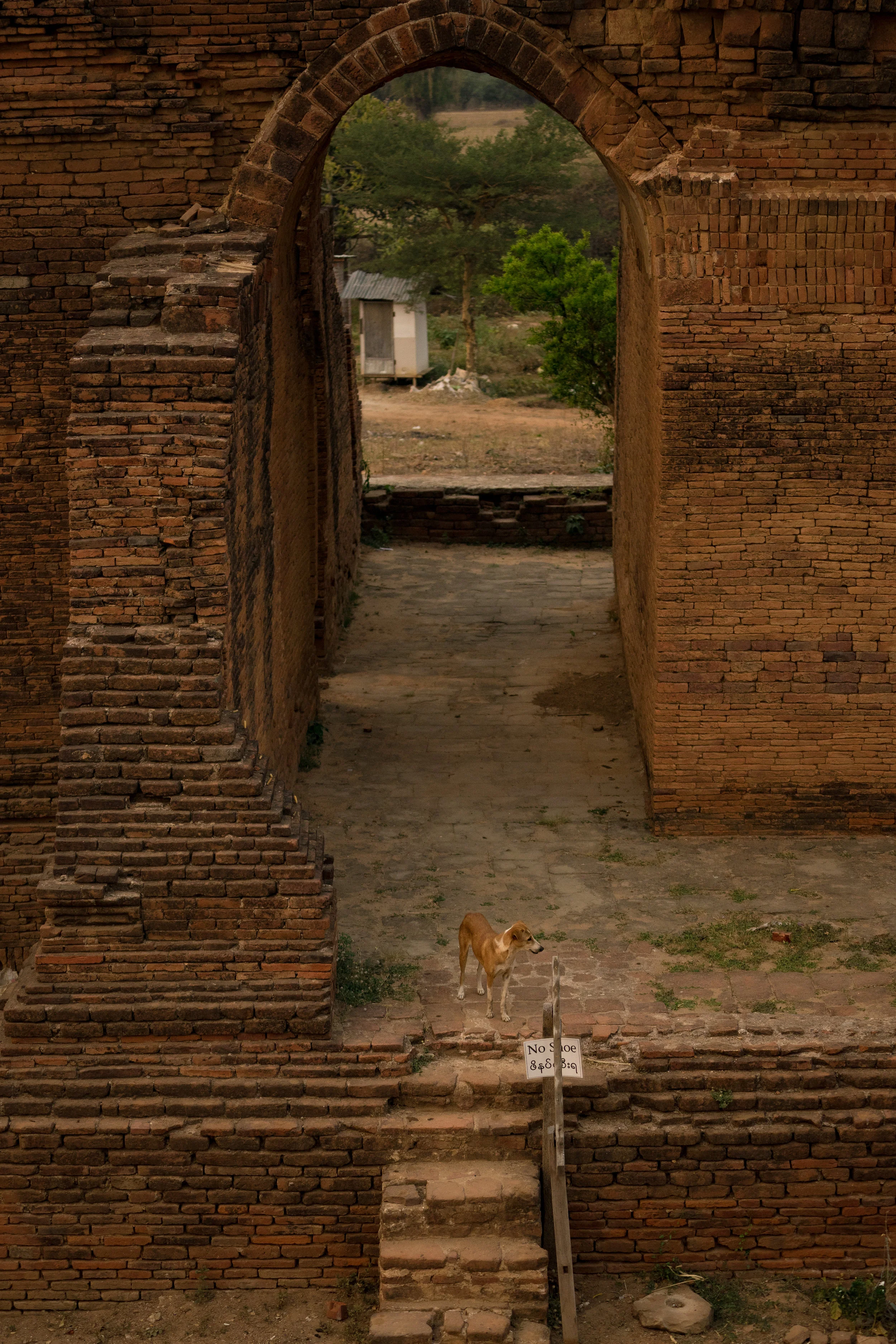 No shoe - Bagan