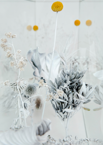 Hvid // White #1