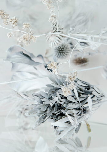 Hvid // White #2